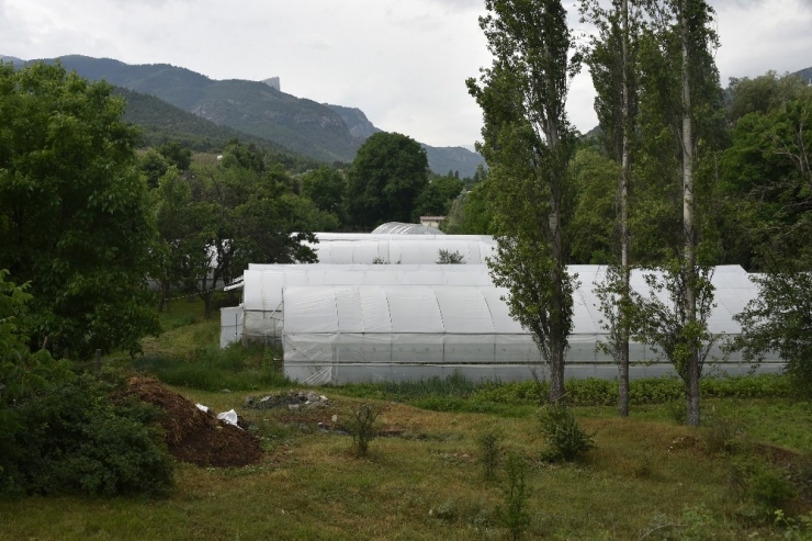 Gümüşhane’nin Çukurovası: İnkılap Köyü