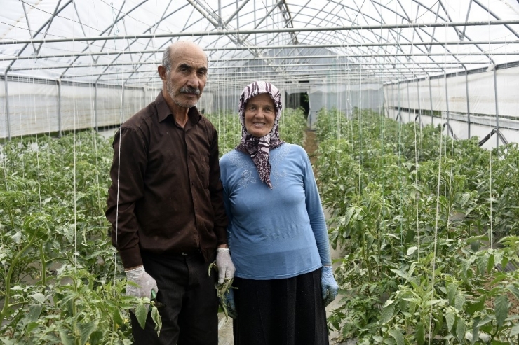 Gümüşhane’nin Çukurovası: İnkılap Köyü