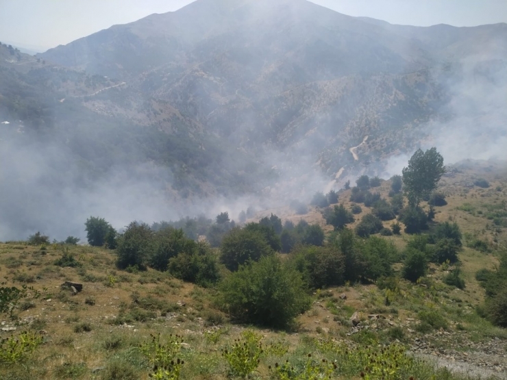 Bahçesaray’da Orman Yangını