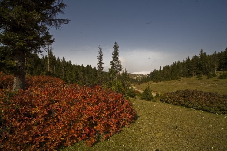 Zirvedeki Doğa Harikası: Hıdırnebi Yaylası