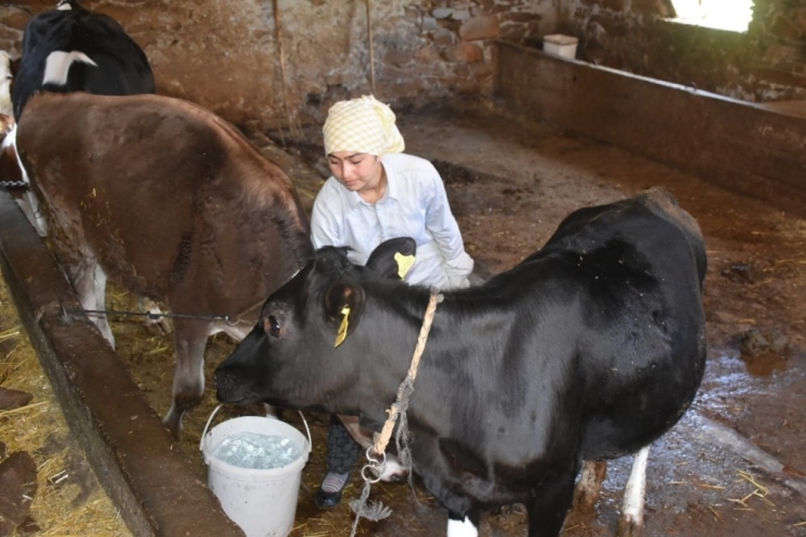Aydınlı Çilem’in Şampiyonluğa Giden Öyküsü