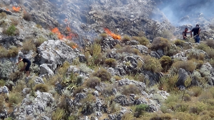Havran’daki Orman Yangını Kontrol Altına Alındı