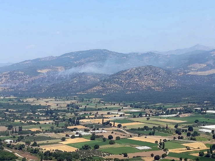 Havran’daki Orman Yangını Kontrol Altına Alındı