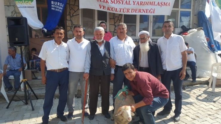 Bu Kuzu Öyle Bir Fiyata Satıldı Ki, Fiyatını Duyanlar Kulaklarına İnanamadı