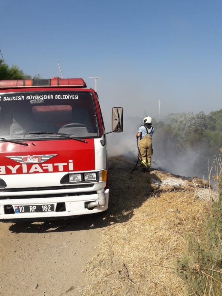 Burhaniye’de Ot Yangını Paniğe Neden Oldu