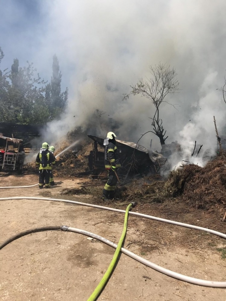 İnek, Koyun Ve Tavuklar Yanarak Telef Oldu