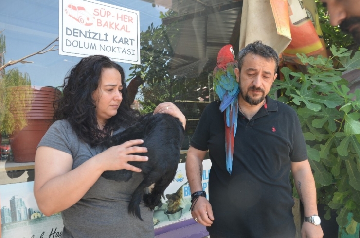 Vicdansız Sürücü Köpeği Böyle Ezdi
