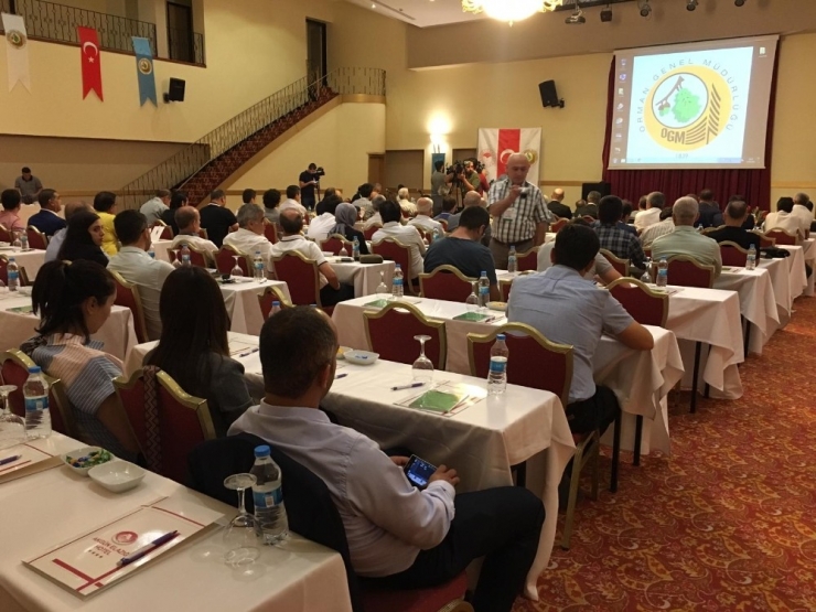 Toprak Erozyonu 500 Milyon Tondan, 150 Bin Tona Düştü