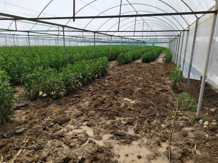 Sel Sonrası Yaralar Sarılıyor