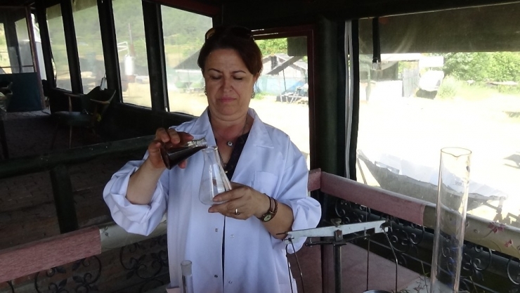 Osmanlı’nın Savaşırken Yanında Taşıdığı İksir “Kantaron Yağı”