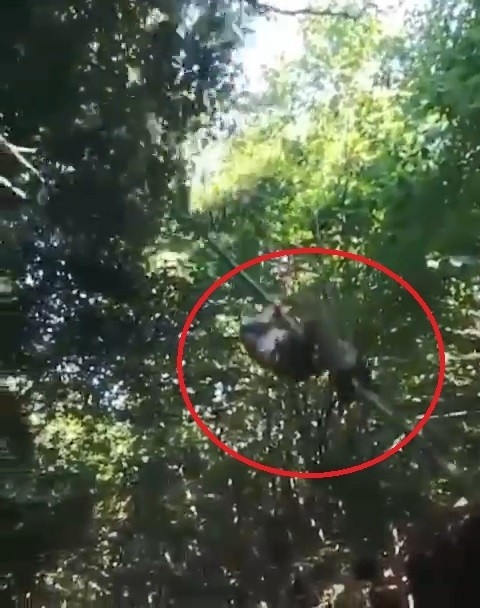 Arkadaşların Macera Tutkusu Hastanede Sonlandı