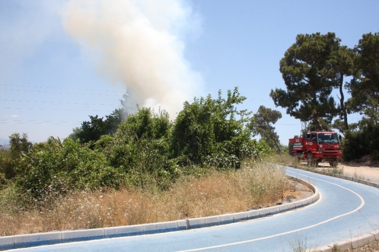 Tamirden Dönen Arazöz Sayesinde Büyümeden Söndürüldü