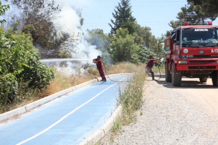 Tamirden Dönen Arazöz Sayesinde Büyümeden Söndürüldü