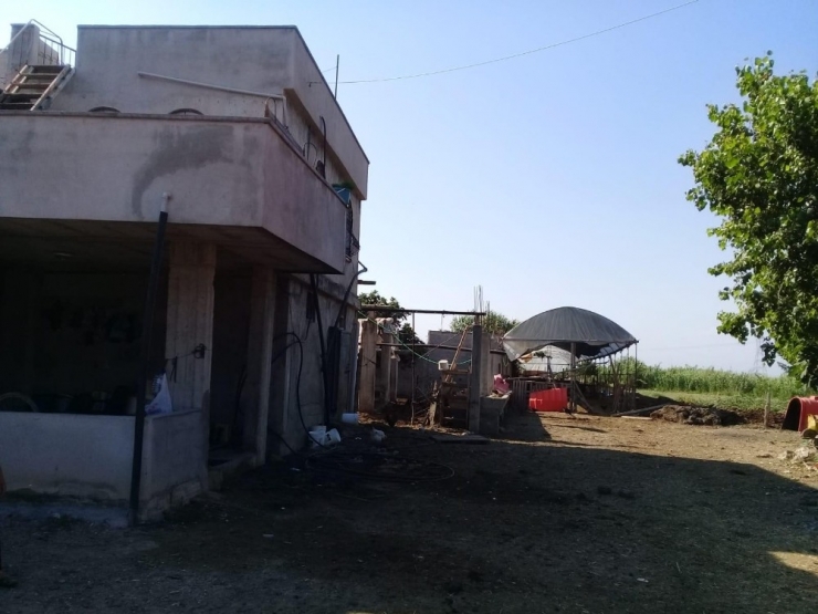 Tarsus’ta 21 Büyükbaş Hayvan Çalındı