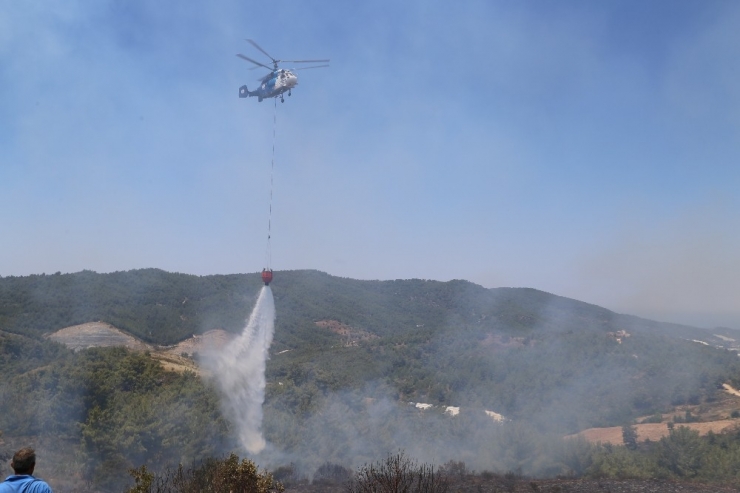 Antalya’da Orman Yangını
