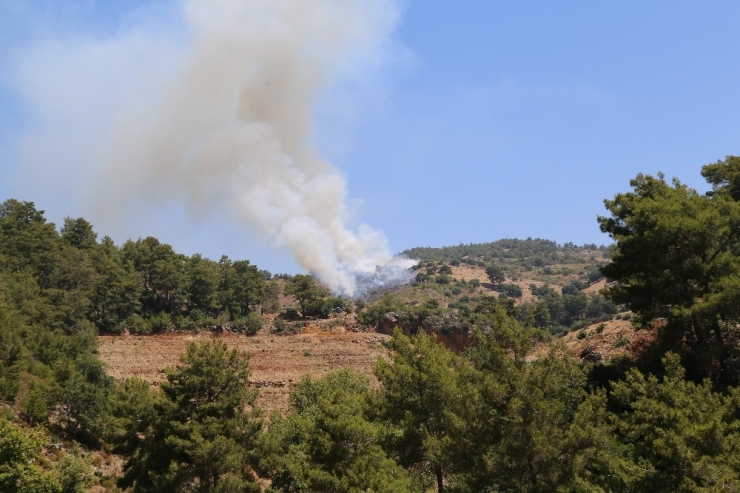 Antalya’da Orman Yangını