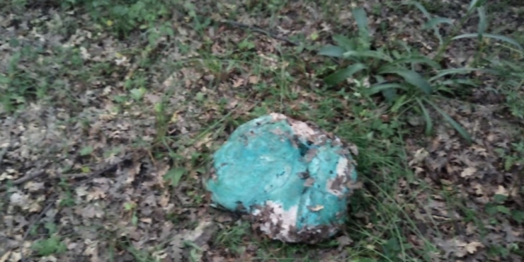 Kurtlardan Kurtulmak İsterken Köpekleri Öldürdü