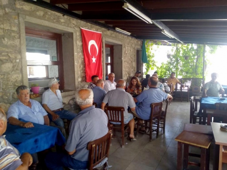 Büyükşehir’den Akdeniz Meyve Sineği İle Mücadele