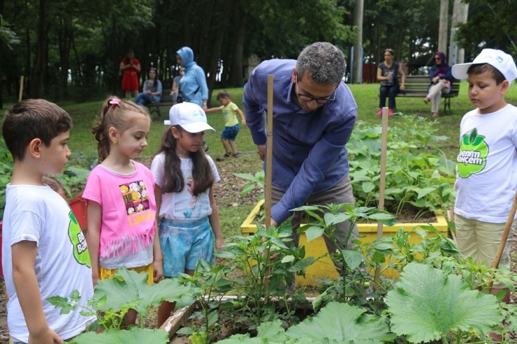 ‘Benim Bahçemin’ İlk Ürünleri Fide Vermeye Başladı