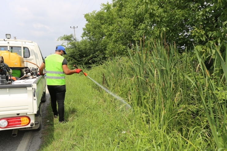 Serdivan’da İlaçlama Çalışmaları Hız Kazandı