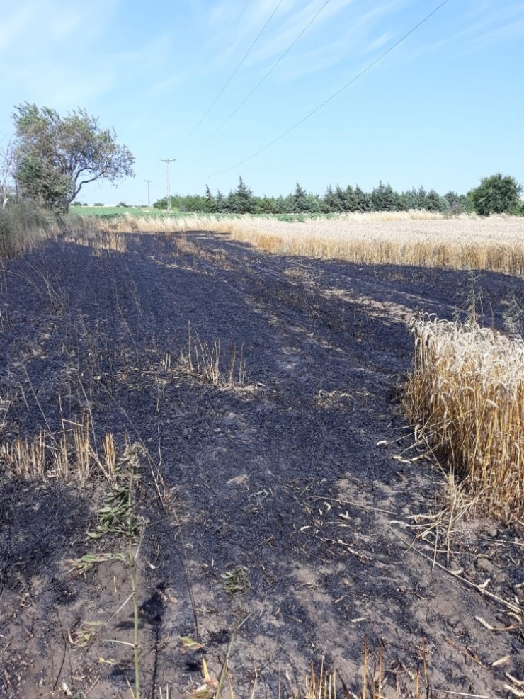 Kopan Elektrik Telleri Tarlayı Yaktı