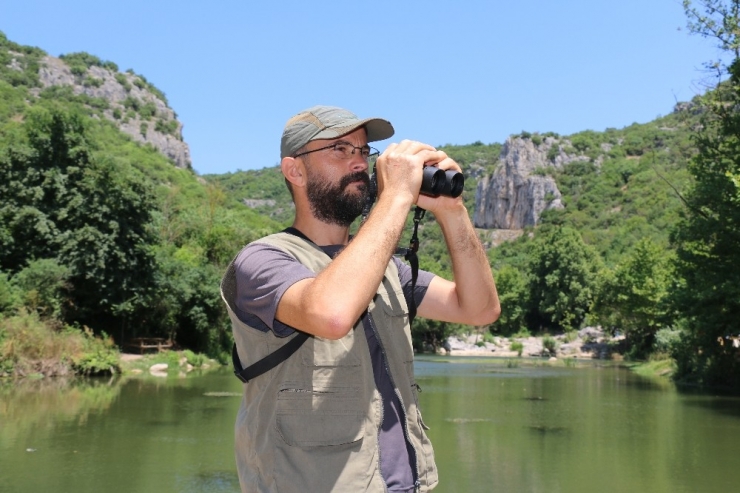 Ballıkayalar Tabiat Parkı Doğa Tutkunlarının Vazgeçilmez Adresi Oldu