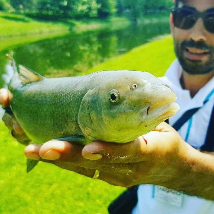 50 Yıldır Görülmeyen Balık Yeniden Porsuk’ta