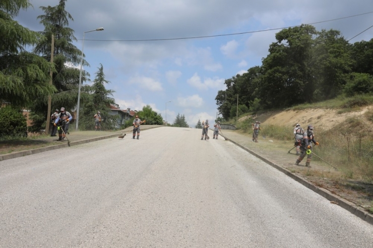 Adapazarı Belediyesi İlçede Temizliği Elden Bırakmıyor