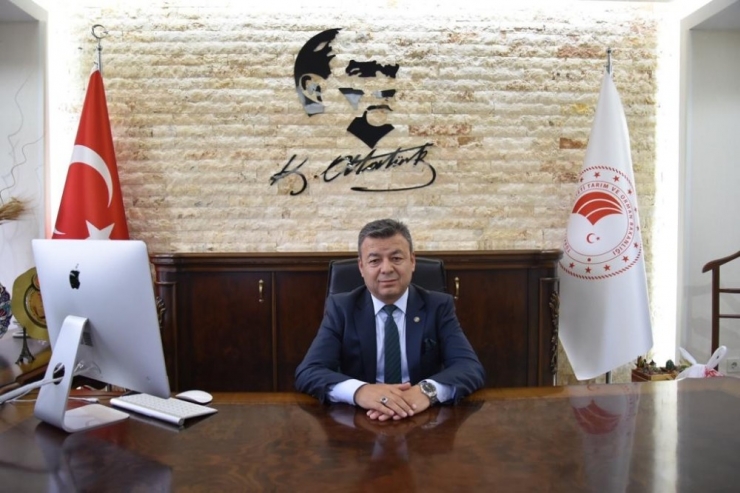 Antalya’da Karpuz Üretimi 500 Bin Tona Ulaştı