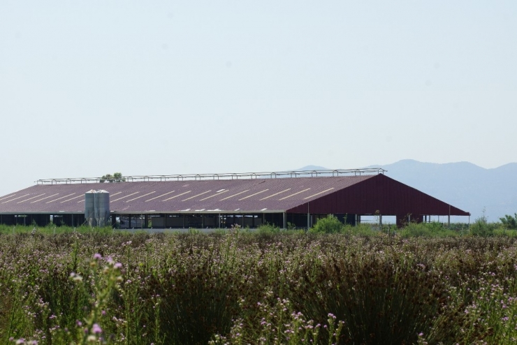 Aydın’da Milyonluk Dolandırıcılık İddiası