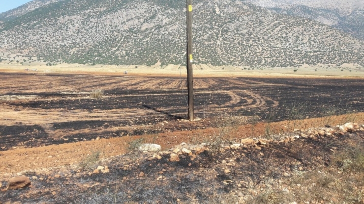 Korkuteli’nde Anız Ve Ekin Yangını