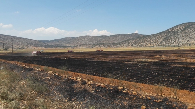 Korkuteli’nde Anız Ve Ekin Yangını