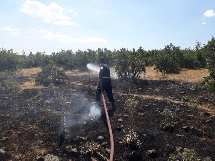 Yangın Ormana Sıçramadan Söndürüldü