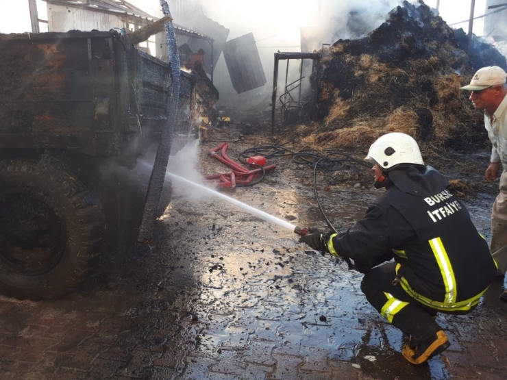 Bursa’da Ahırda Çıkan Yangında 10 Ton Buğday Kül Oldu
