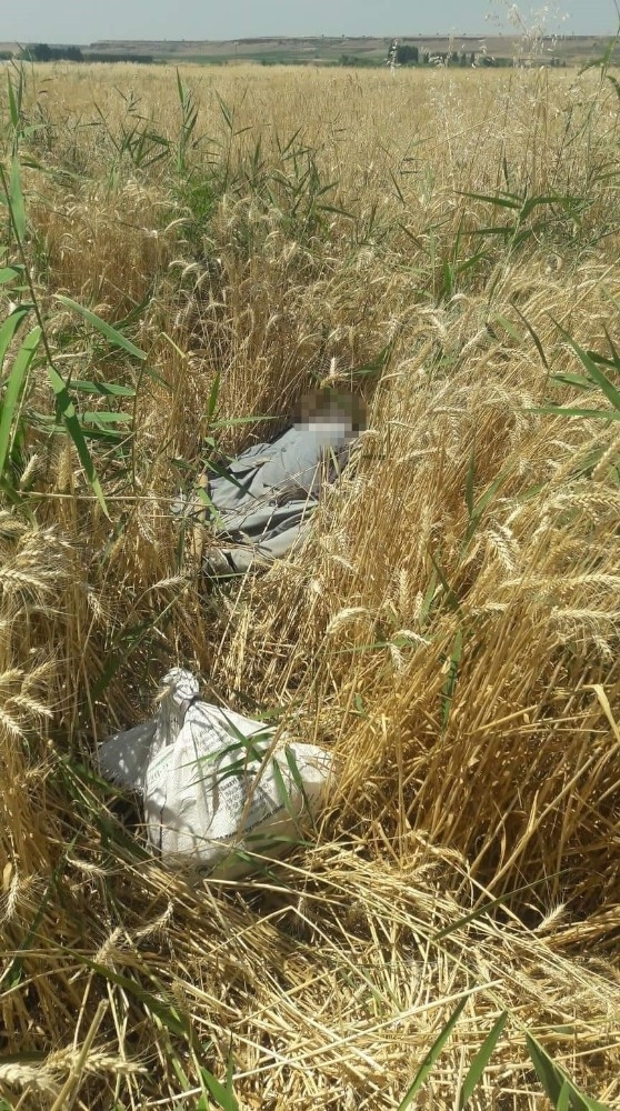 Diyarbakır’da Yüzü Ve Elleri Kararmış Erkek Cesedi Bulundu
