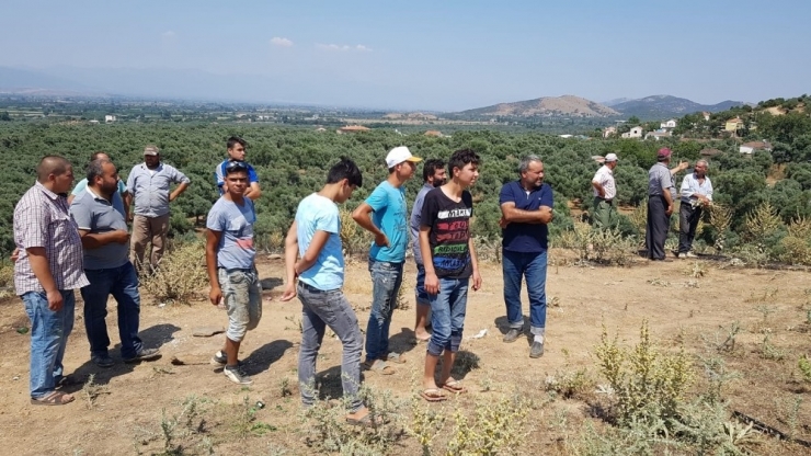 Tire’deki Makilik Yangını Söndürüldü