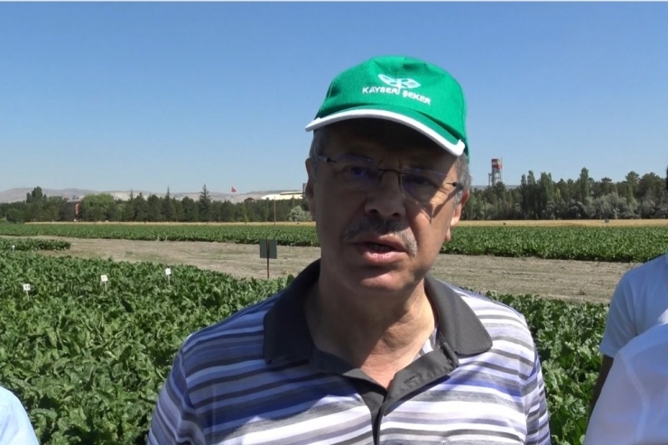 Kayseri Şeker, Pancar Tarımında Damlama Sulama Sistemini Yaygınlaştırıyor