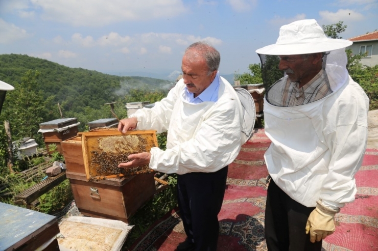 Ko-mek’te “Bal” Gibi Branş