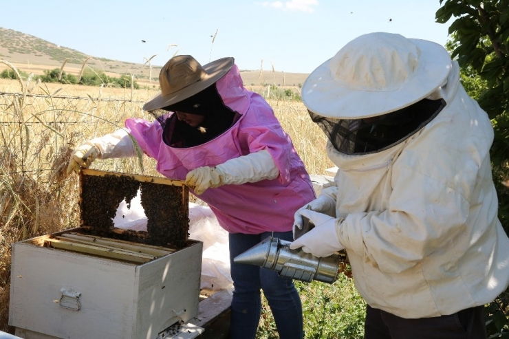 Tarımsal Eğitimlerle Çiftçiye Katkı Sağlanıyor