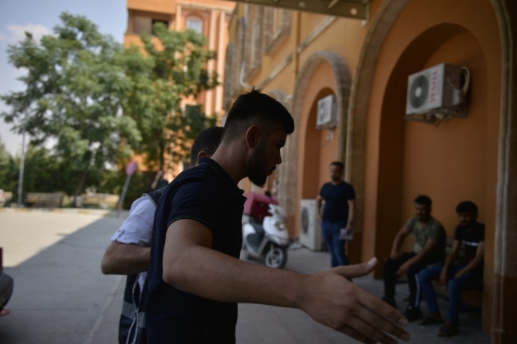 Kaldırımdaki Ağacı Kırmıştı, Gözaltına Alındı