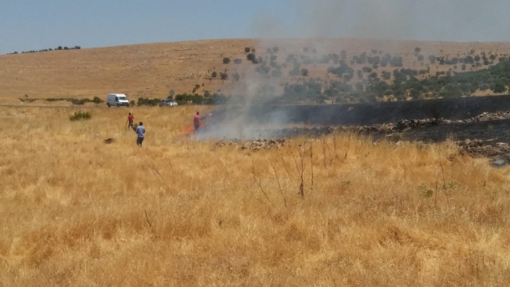 Mardin’de 6 Bin Dönümlük Anız Yangını
