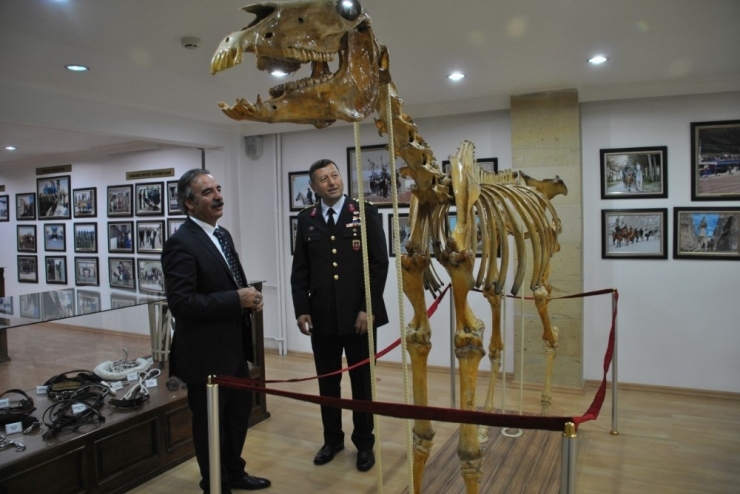 Nevü Ve Jakem Komutanlığı Arasında Atlı Terapi Ve Binicilik Eğitimi