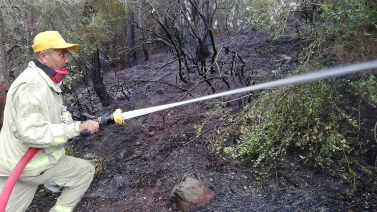 Osmaniye’de Orman Yangını
