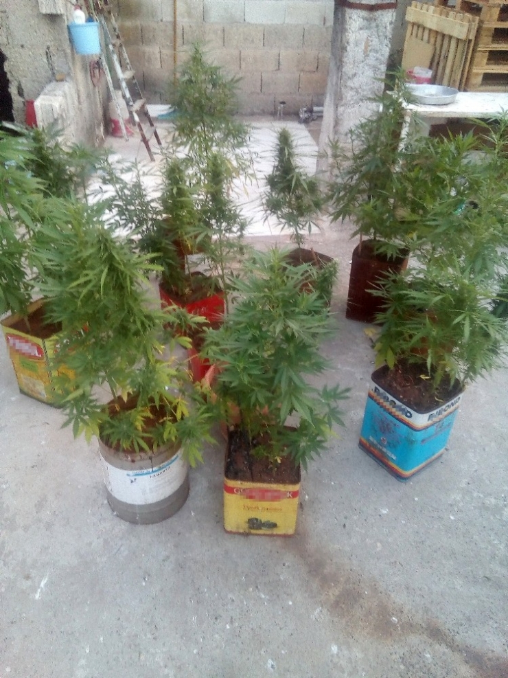 Polis Uyuşturucu Tacirlerine Göz Açtırmıyor