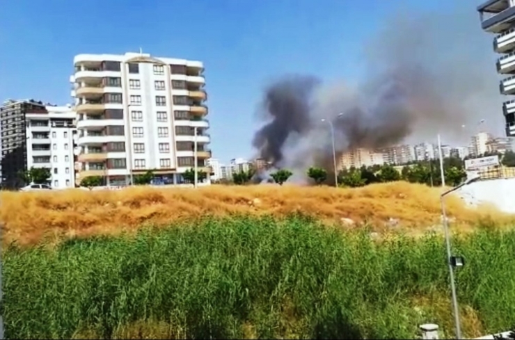 Şanlıurfa’da Anız Yangını Korkuttu