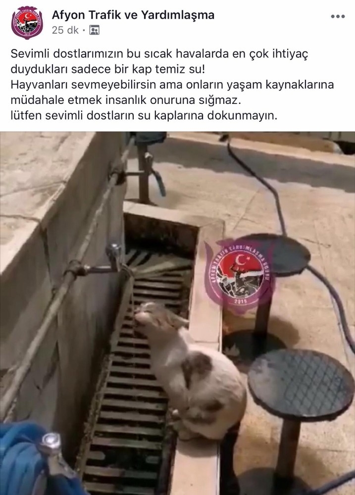 Sosyal Medyada Yürekleri Isıtan Görüntü