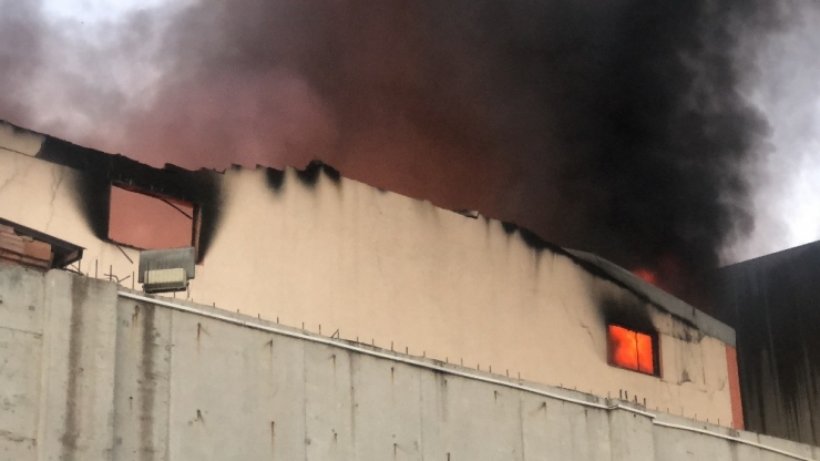 Geri Dönüşüm Deposunda Yangın