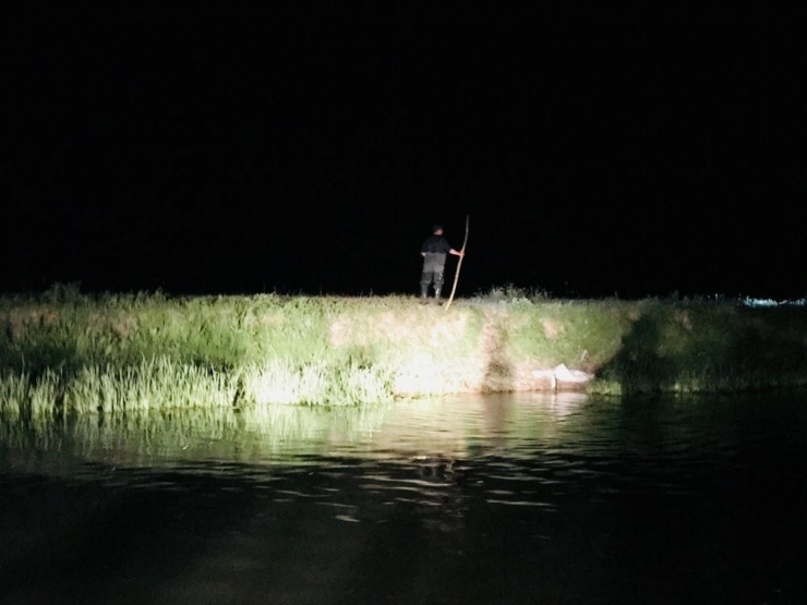 Kaçak Avlanan Bir Ton 600 Kilo Balık Yeniden Suya Bırakıldı