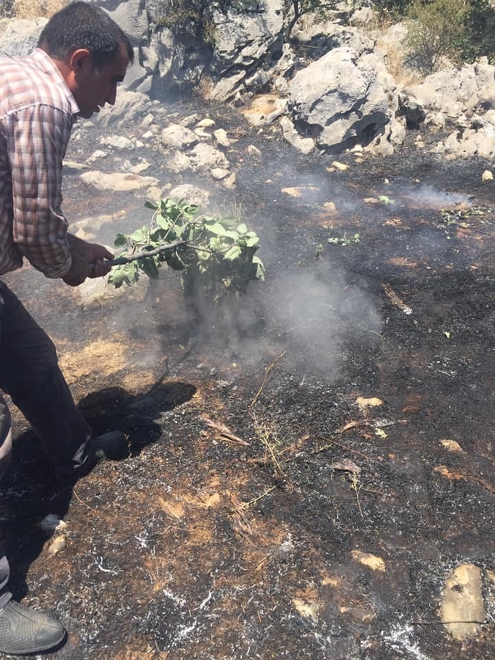 Sincik İlçesinde Orman Yangını