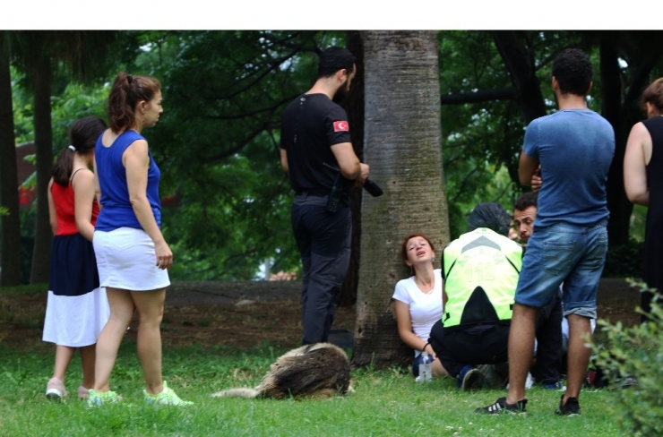 Genç Kıza Kapkaç Şoku